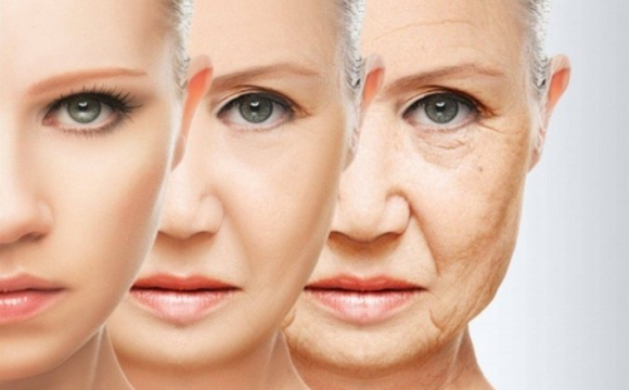 Вчені назвали групу крові, власники якої старіють повільніше