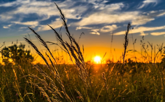 Потужний антициклон накриє Україну: як зміниться погода