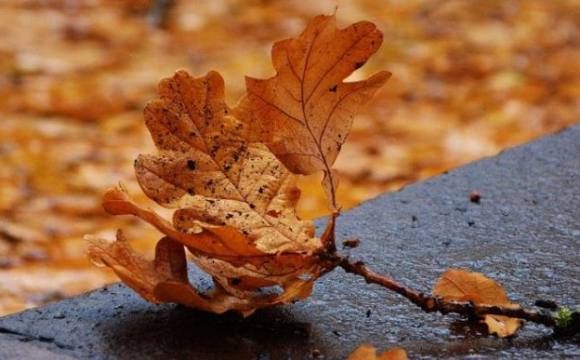 Українців попередили про сильне похолодання