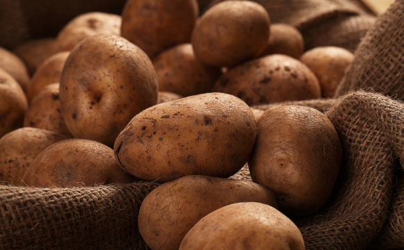 Українців закликали запасатися цими овочами