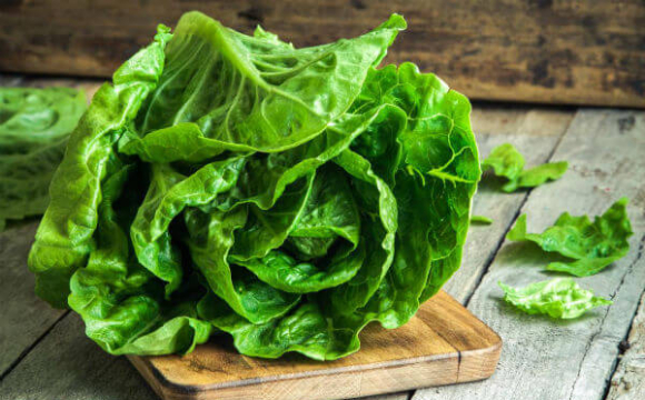 В Україну завезли небезпечний салат