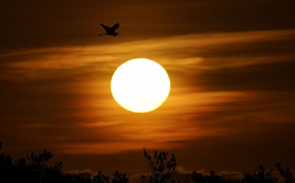 Чи накриють Україну потужні магнітні бурі 8-9 листопада