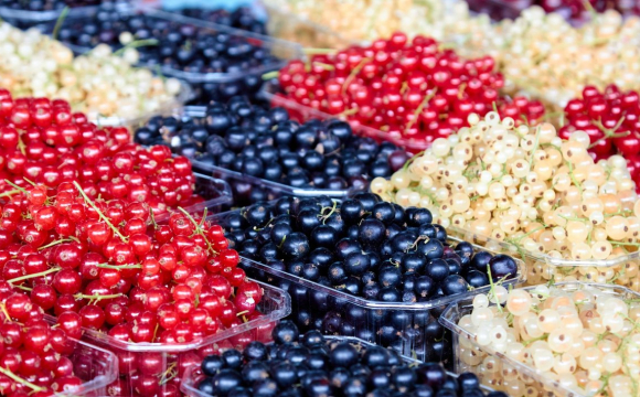 Стало відомо, яка літня ягода ефективно бореться з раком