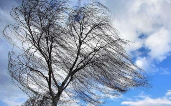 На Волині вирувала негода: рятувальники показали наслідки
