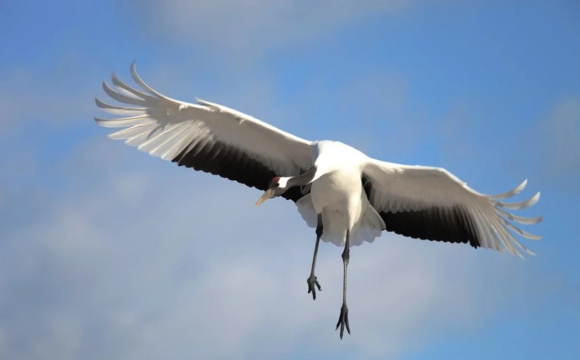 День вважається особливим: яке свято відзначають 20 серпня