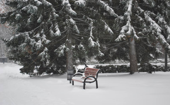 Попри сильні морози волиняни продають городину на луцьких ринках