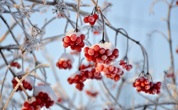 Яке свято відзначають українці 15 лютого: народні прикмети і традиції