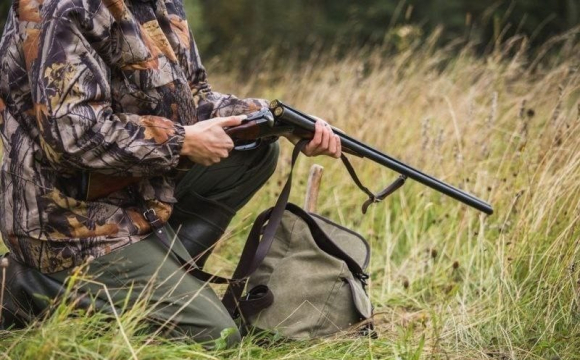 На Волині хочуть відстрілювати тварин через сказ: у мережі спалахнув скандал