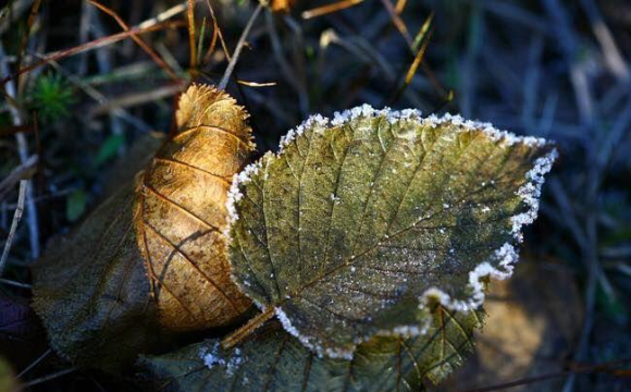 Приготуйтесь до морозів у повітрі: прогноз погоди на 16 жовтня
