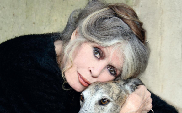 Відому акторку поховали заживо: вона вийшла на зв'язок