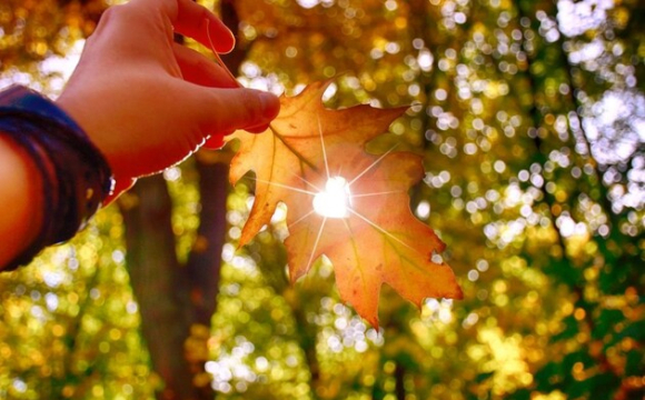 Коли в Україну повернеться спека: відома точна дата