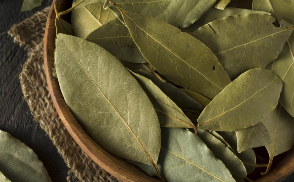 Українців закликали спалити лавровий листок у ці дні грудня