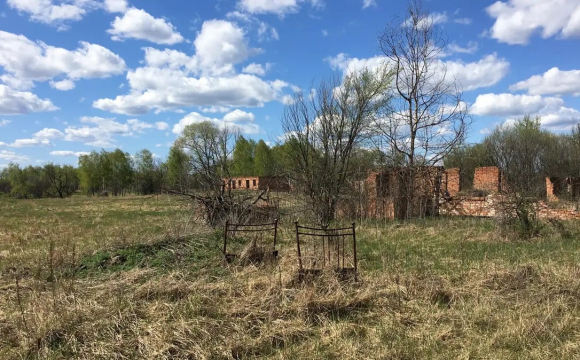 У Чорнобилі зафіксували рідкісне явище