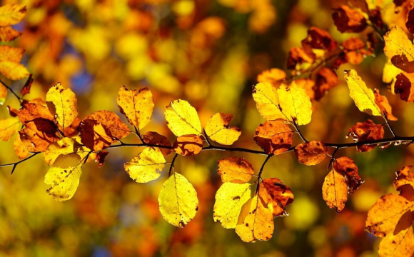 Температура в Україні підвищиться до +18 градусів: де буде тепліше