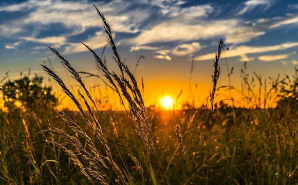 Стало відомо, якою буде погода в Україні влітку