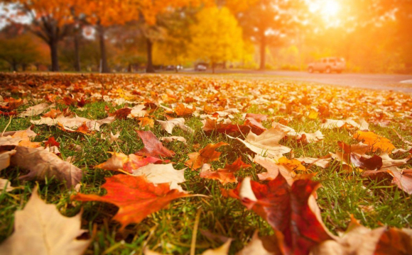 В Україну йде потепління, але є важливий нюанс