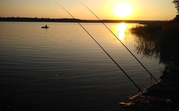 У Волинській області з 1 квітня заборонять ловити рибу