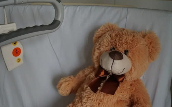 У селі на заході України трагічно загинула 10-річна дитина