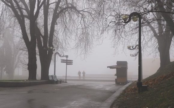 Коли у Луцьку та області випаде перший сніг: названі терміни