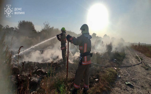 Недбалість, що коштує дорого: на Волині горіли гектари землі