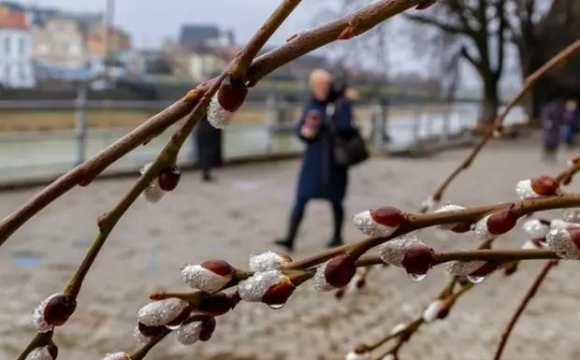 На заході України може випасти сніг: названі дати