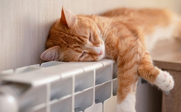 Стало відомо, як зменшити рахунки за опалення взимку