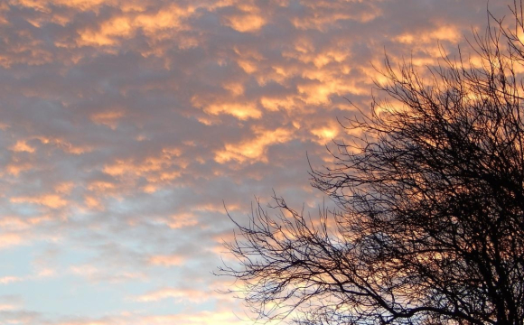 Україну накриє 20 градусів тепла: названі дати