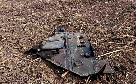 РФ масовано атакує ліси та поля на Волині
