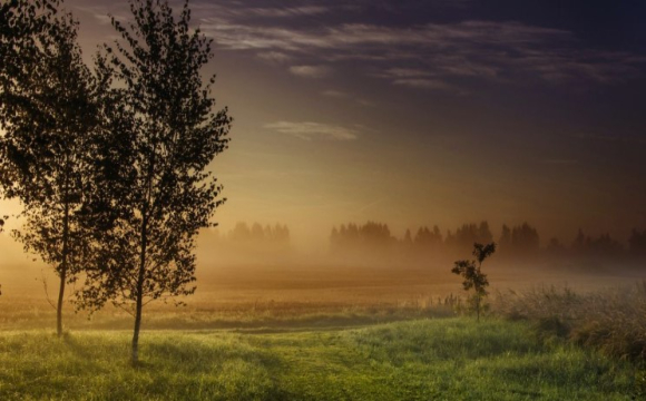 Яке свято відзначають українці 21 вересня: народні прикмети і традиції