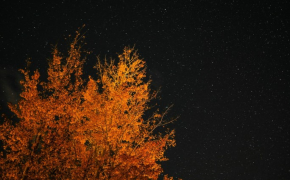 Зірки дарують підказки: гороскоп на 27 жовтня для всіх знаків Зодіаку