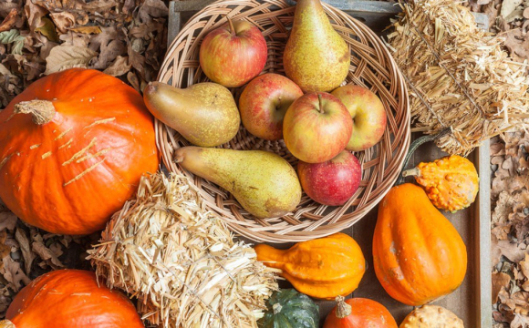 Дієтологи назвали продукти, якими обов’язково варто запастися в листопаді