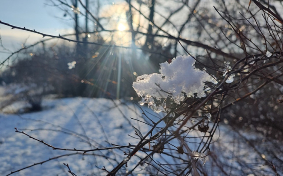 Яке свято відзначають українці 1 лютого: народні прикмети і традиції