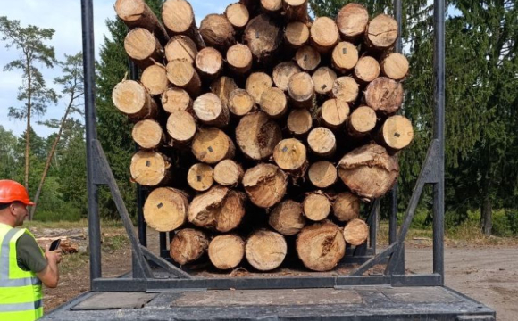 Агенти УУБ в областях контролюють передачу реалізованої деревини покупцеві