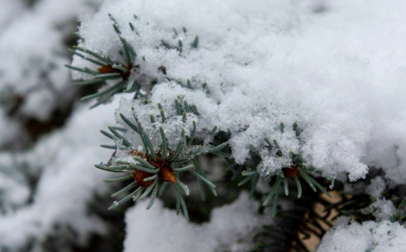 Які події та можливості готують зірки: гороскоп на 12 січня для всіх знаків Зодіаку