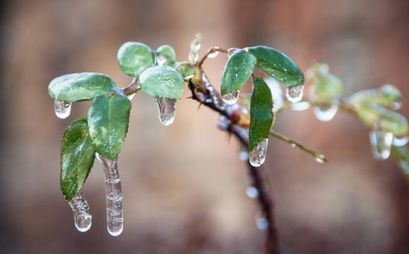 Антициклон накриє Україну: якою буде погода на початку березня