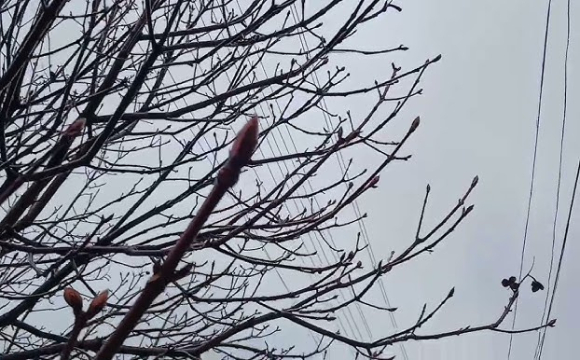 Українців попередили про незвичну температуру 10 вересня