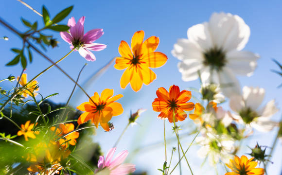 Вас чекає гарний прибуток: гороскоп на 4 квітня для всіх знаків Зодіаку