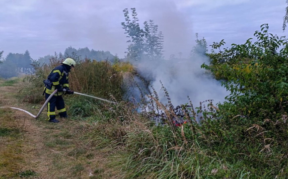 Діти на Волині ледь не спалили кладовище