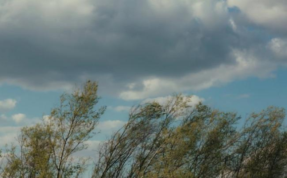На Волині очікується сильний вітер і мінлива хмарність