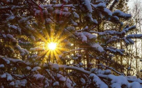 В Україні нарешті потеплішає: відома дата