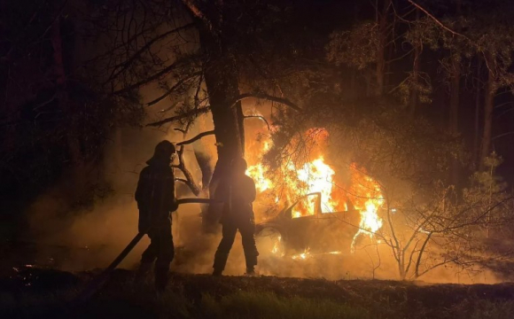 Водій авто на швидкості в'їхав в дерево та загорівся. ФОТО