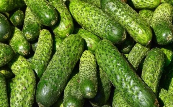 Ціни на тепличні огірки в Україні серйозо зросли 
