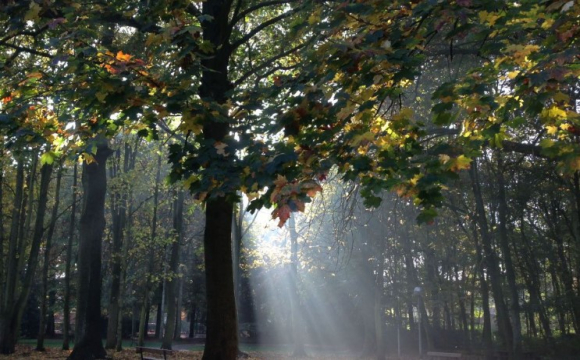 Яке свято відзначають українці 14 вересня: народні прикмети і традиції