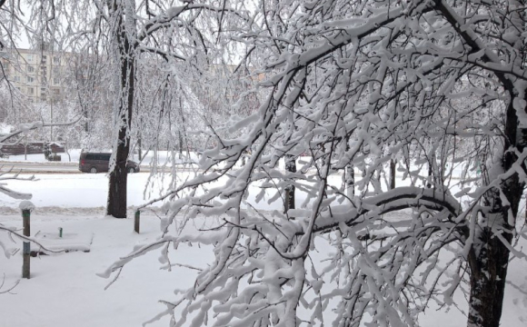Яке свято відзначають українці 24 січня: народні прикмети і традиції