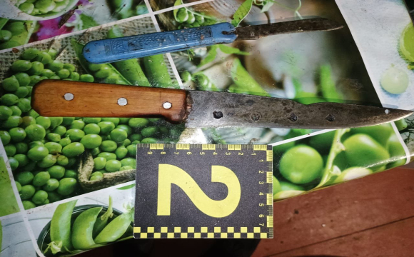 Ударив власного батька ножем у груди: яке рішення суду