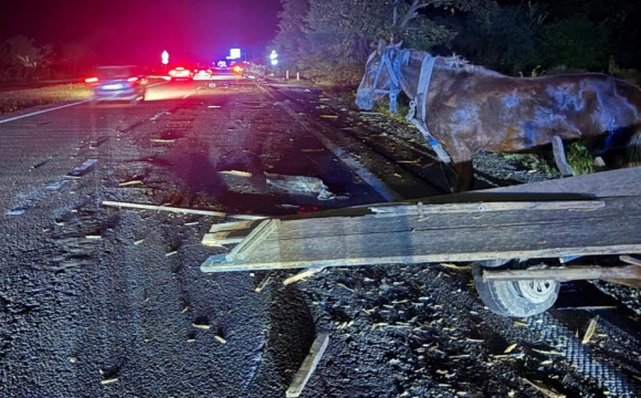 Водійка автомобіля протаранила підводу, пасажирка загинула на місці