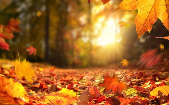 Україну чекають серйозні погодні катаклізми