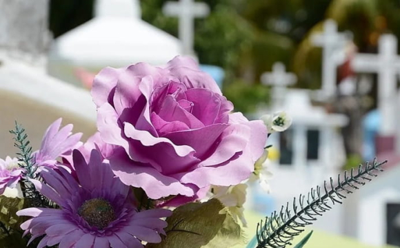 Українців закликали не приносити пластикові квіти на кладовище