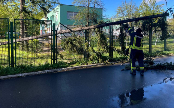 На Волині сильний вітер наробив лиха: наслідки негоди 