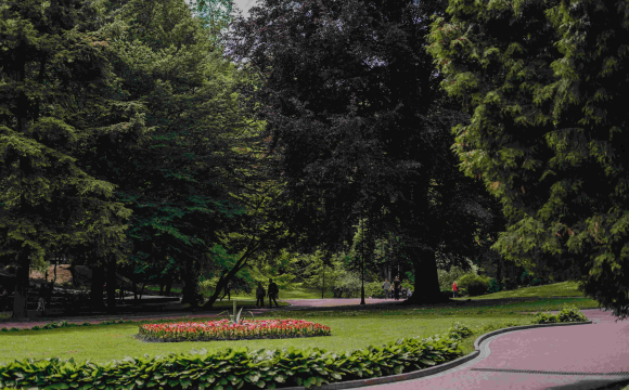 Українці масово знаходять травмованих тварин у парках